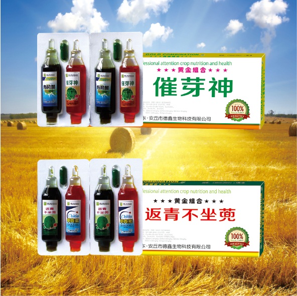 黄金组合搭档系列